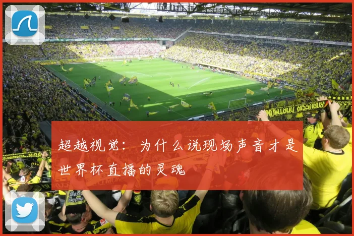 超越视觉：为什么说现场声音才是世界杯直播的灵魂